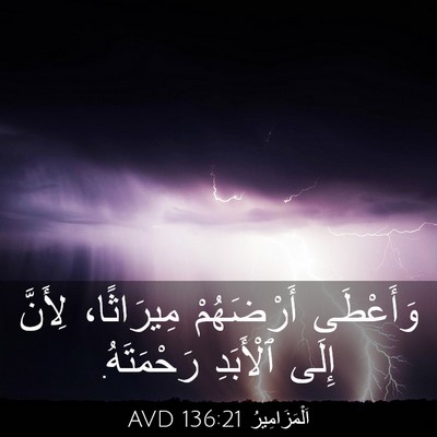 Picture 03 - اَلْمَزَامِيرُ 136:21 AVD - وَأَعْطَى أَرْضَهُمْ - Bible Verse Picture