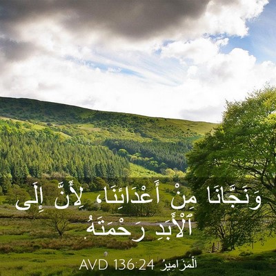 Picture 03 - اَلْمَزَامِيرُ 136:24 AVD - وَنَجَّانَا مِنْ - Bible Verse Picture