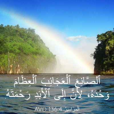 Picture 03 - اَلْمَزَامِيرُ 136:4 AVD - ٱلصَّانِعَ ٱلْعَجَائِبَ - Bible Verse Picture