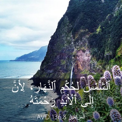 Picture 03 - اَلْمَزَامِيرُ 136:8 AVD - ٱلشَّمْسَ لِحُكْمِ - Bible Verse Picture
