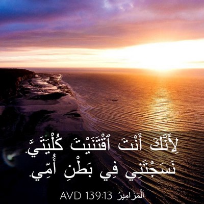 Picture 03 - اَلْمَزَامِيرُ 139:13 AVD - لِأَنَّكَ أَنْتَ - Bible Verse Picture