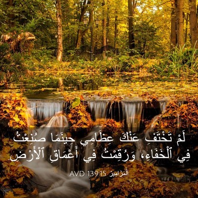 Picture 03 - اَلْمَزَامِيرُ 139:15 AVD - لَمْ تَخْتَفِ عَنْكَ - Bible Verse Picture