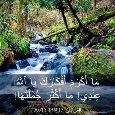 Picture 03 - اَلْمَزَامِيرُ 139:17 AVD - مَا أَكْرَمَ أَفْكَارَكَ - Bible Verse Picture