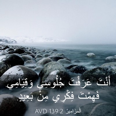 Picture 03 - اَلْمَزَامِيرُ 139:2 AVD - أَنْتَ عَرَفْتَ جُلُوسِي - Bible Verse Picture