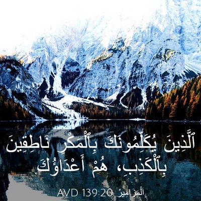 Picture 03 - اَلْمَزَامِيرُ 139:20 AVD - ٱلَّذِينَ يُكَلِّمُونَكَ - Bible Verse Picture