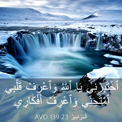 Picture 03 - اَلْمَزَامِيرُ 139:23 AVD - ٱخْتَبِرْنِي يَا ٱللهُ - Bible Verse Picture