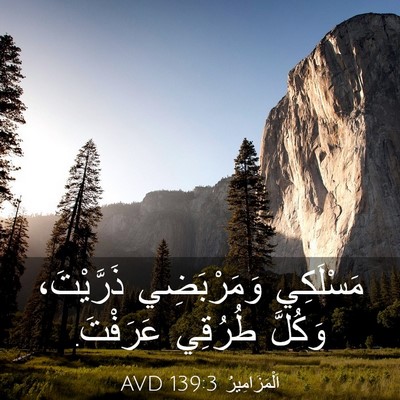 Picture 03 - اَلْمَزَامِيرُ 139:3 AVD - مَسْلَكِي وَمَرْبَضِي - Bible Verse Picture