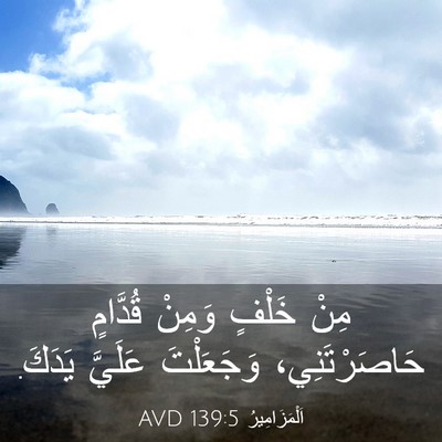 Picture 03 - اَلْمَزَامِيرُ 139:5 AVD - مِنْ خَلْفٍ وَمِنْ - Bible Verse Picture