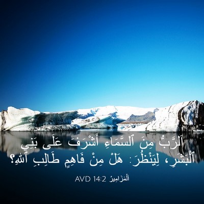Picture 03 - اَلْمَزَامِيرُ 14:2 AVD - اَلرَّبُّ مِنَ ٱلسَّمَاءِ - Bible Verse Picture