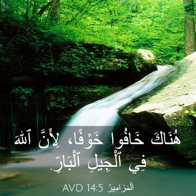 Picture 03 - اَلْمَزَامِيرُ 14:5 AVD - هُنَاكَ خَافُوا خَوْفًا، - Bible Verse Picture