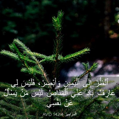 Picture 03 - اَلْمَزَامِيرُ 142:4 AVD - ٱنْظُرْ إِلَى ٱلْيَمِينِ - Bible Verse Picture