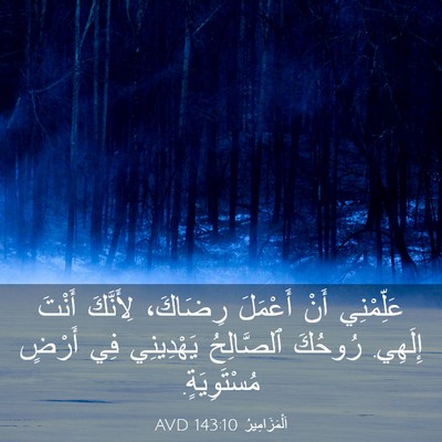 Picture 03 - اَلْمَزَامِيرُ 143:10 AVD - عَلِّمْنِي أَنْ أَعْمَلَ - Bible Verse Picture