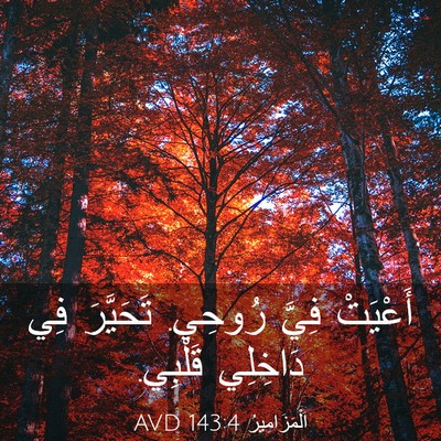 Picture 03 - اَلْمَزَامِيرُ 143:4 AVD - أَعْيَتْ فِيَّ رُوحِي. - Bible Verse Picture