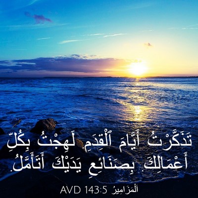 Picture 03 - اَلْمَزَامِيرُ 143:5 AVD - تَذَكَّرْتُ أَيَّامَ - Bible Verse Picture