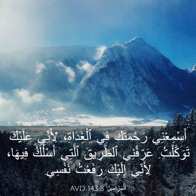 Picture 03 - اَلْمَزَامِيرُ 143:8 AVD - أَسْمِعْنِي رَحْمَتَكَ - Bible Verse Picture