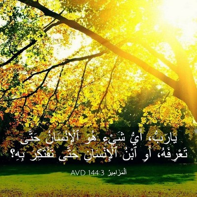 Picture 03 - اَلْمَزَامِيرُ 144:3 AVD - يَارَبُّ، أَيُّ شَيْءٍ - Bible Verse Picture