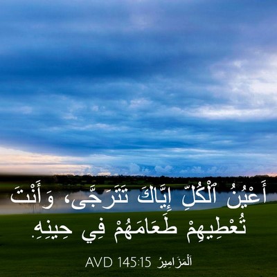 Picture 03 - اَلْمَزَامِيرُ 145:15 AVD - أَعْيُنُ ٱلْكُلِّ - Bible Verse Picture