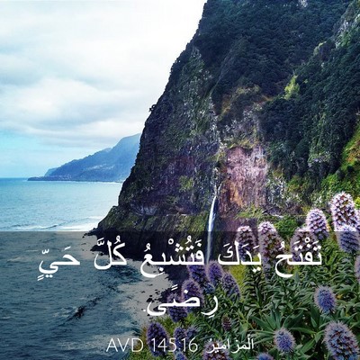 Picture 03 - اَلْمَزَامِيرُ 145:16 AVD - تَفْتَحُ يَدَكَ - Bible Verse Picture