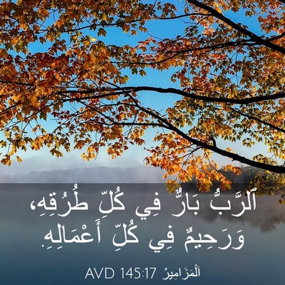 Picture 03 - اَلْمَزَامِيرُ 145:17 AVD - ٱلرَّبُّ بَارٌّ فِي كُلِّ - Bible Verse Picture