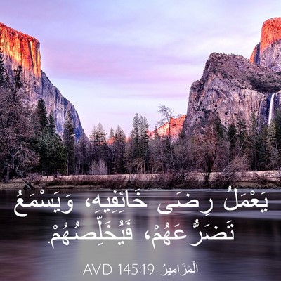 Picture 03 - اَلْمَزَامِيرُ 145:19 AVD - يَعْمَلُ رِضَى - Bible Verse Picture
