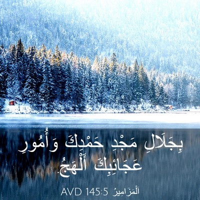 Picture 03 - اَلْمَزَامِيرُ 145:5 AVD - بِجَلَالِ مَجْدِ حَمْدِكَ - Bible Verse Picture
