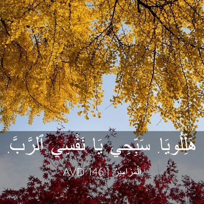 Picture 03 - اَلْمَزَامِيرُ 146:1 AVD - هَلِّلُويَا. سَبِّحِي يَا - Bible Verse Picture