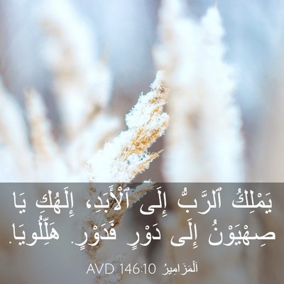 Picture 03 - اَلْمَزَامِيرُ 146:10 AVD - يَمْلِكُ ٱلرَّبُّ إِلَى - Bible Verse Picture