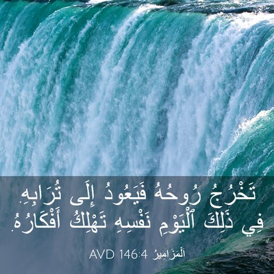 Picture 03 - اَلْمَزَامِيرُ 146:4 AVD - تَخْرُجُ رُوحُهُ - Bible Verse Picture