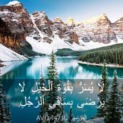 Picture 03 - اَلْمَزَامِيرُ 147:10 AVD - لَا يُسَرُّ بِقُوَّةِ - Bible Verse Picture