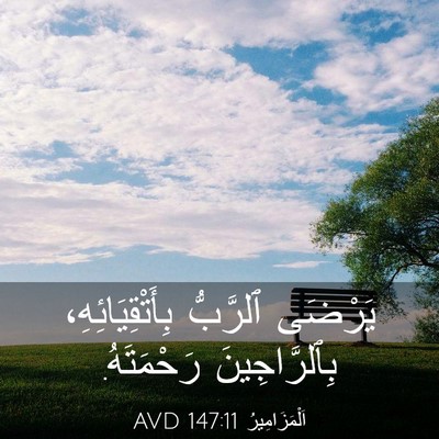 Picture 03 - اَلْمَزَامِيرُ 147:11 AVD - يَرْضَى ٱلرَّبُّ - Bible Verse Picture