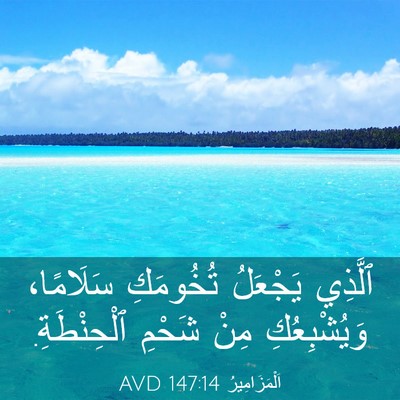 Picture 03 - اَلْمَزَامِيرُ 147:14 AVD - ٱلَّذِي يَجْعَلُ - Bible Verse Picture