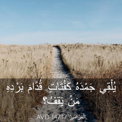 Picture 03 - اَلْمَزَامِيرُ 147:17 AVD - يُلْقِي جَمْدَهُ - Bible Verse Picture