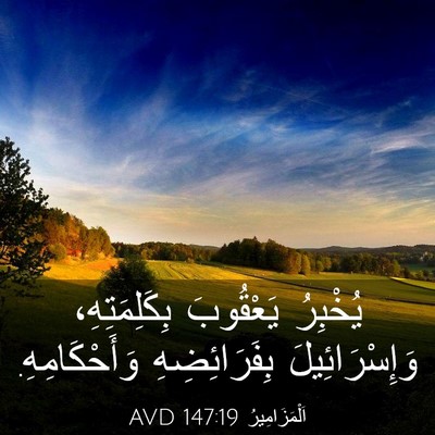 Picture 03 - اَلْمَزَامِيرُ 147:19 AVD - يُخْبِرُ يَعْقُوبَ - Bible Verse Picture
