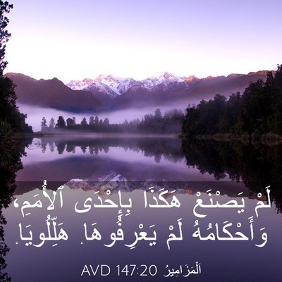 Picture 03 - اَلْمَزَامِيرُ 147:20 AVD - لَمْ يَصْنَعْ هَكَذَا - Bible Verse Picture