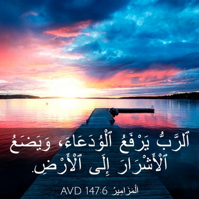Picture 03 - اَلْمَزَامِيرُ 147:6 AVD - ٱلرَّبُّ يَرْفَعُ - Bible Verse Picture