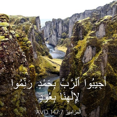 Picture 03 - اَلْمَزَامِيرُ 147:7 AVD - أَجِيبُوا ٱلرَّبَّ - Bible Verse Picture