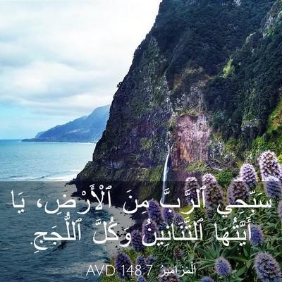 Picture 03 - اَلْمَزَامِيرُ 148:7 AVD - سَبِّحِي ٱلرَّبَّ مِنَ - Bible Verse Picture