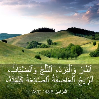 Picture 03 - اَلْمَزَامِيرُ 148:8 AVD - ٱلنَّارُ وَٱلْبَرَدُ، - Bible Verse Picture