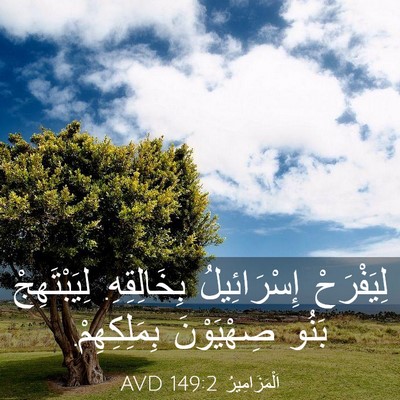 Picture 03 - اَلْمَزَامِيرُ 149:2 AVD - لِيَفْرَحْ إِسْرَائِيلُ - Bible Verse Picture
