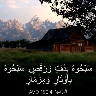 Picture 03 - اَلْمَزَامِيرُ 150:4 AVD - سَبِّحُوهُ بِدُفٍّ - Bible Verse Picture