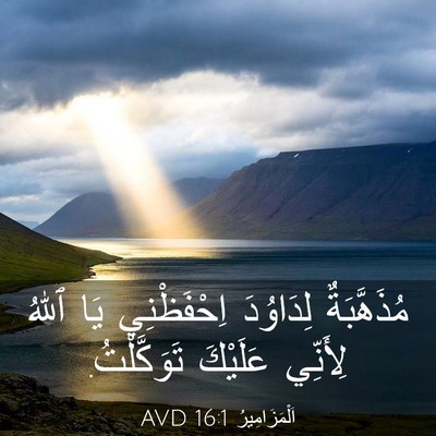 Picture 03 - اَلْمَزَامِيرُ 16:1 AVD - مُذَهَّبَةٌ لِدَاوُدَ - Bible Verse Picture