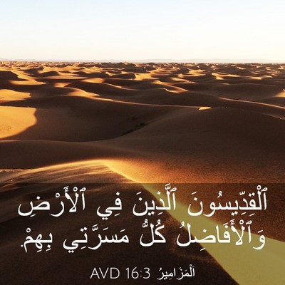 Picture 03 - اَلْمَزَامِيرُ 16:3 AVD - ٱلْقِدِّيسُونَ ٱلَّذِينَ - Bible Verse Picture