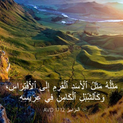 Picture 03 - اَلْمَزَامِيرُ 17:12 AVD - مَثَلُهُ مَثَلُ ٱلْأَسَدِ - Bible Verse Picture