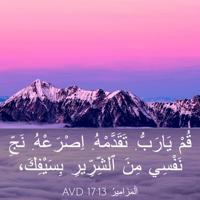 Picture 03 - اَلْمَزَامِيرُ 17:13 AVD - قُمْ يَارَبُّ. - Bible Verse Picture