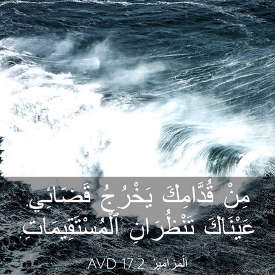 Picture 03 - اَلْمَزَامِيرُ 17:2 AVD - مِنْ قُدَّامِكَ يَخْرُجُ - Bible Verse Picture