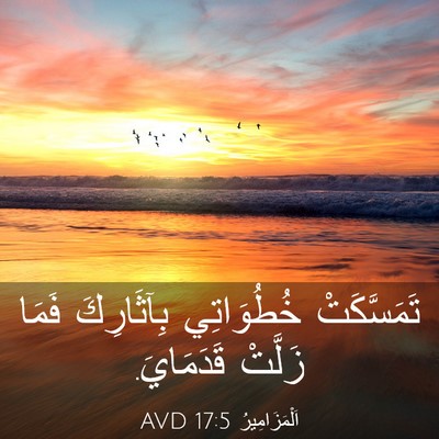 Picture 03 - اَلْمَزَامِيرُ 17:5 AVD - تَمَسَّكَتْ خُطُوَاتِي - Bible Verse Picture