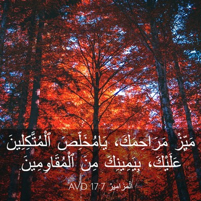Picture 03 - اَلْمَزَامِيرُ 17:7 AVD - مَيِّزْ مَرَاحِمَكَ، - Bible Verse Picture