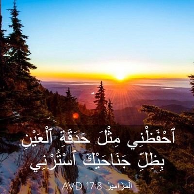 Picture 03 - اَلْمَزَامِيرُ 17:8 AVD - ٱحْفَظْنِي مِثْلَ - Bible Verse Picture