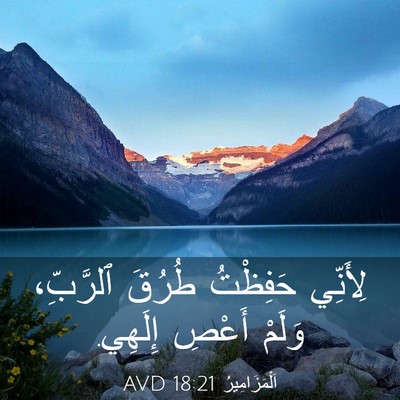 Picture 03 - اَلْمَزَامِيرُ 18:21 AVD - لِأَنِّي حَفِظْتُ طُرُقَ - Bible Verse Picture