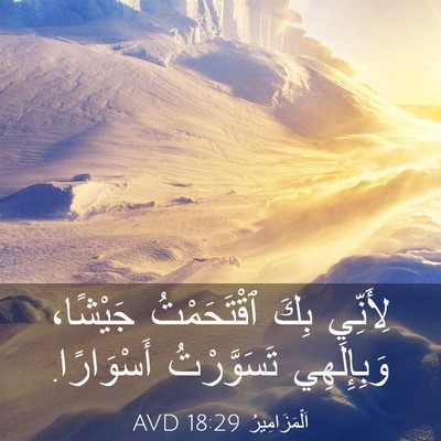 Picture 03 - اَلْمَزَامِيرُ 18:29 AVD - لِأَنِّي بِكَ ٱقْتَحَمْتُ - Bible Verse Picture